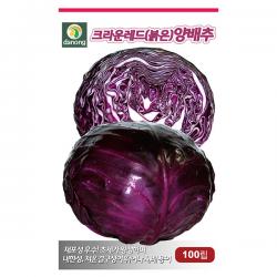 수박 무 100립 수박무 무씨앗 과일무 무씨 무우씨앗 무우씨 채소씨 채소씨앗 야채씨 야채씨앗, 20_다농_크라운레드(붉은)양배추(100립)