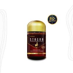 굿소일직구 Greenia 스테그라 수사슴 녹혈 캡슐 500mg 120캡슐, 특수한 시즌에 채취된 숫사슴 녹혈