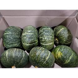 <도도> 수입산 뉴질랜드 단호박 10kg 1박스 7~9수 랜덤발송#품질보증#