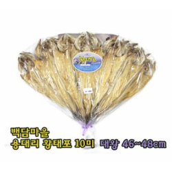 인제 백담마을 용대리 황태포 10미 [대왕], 개
