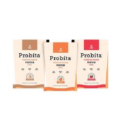 비사이 프로비타 콜라겐 프로틴60정 3종 Visi Probita Longinberry