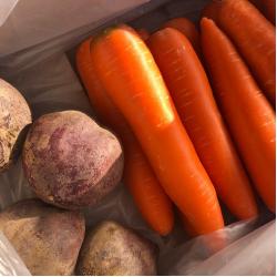 abc주스 건강주스용 세척당근 or 레드비트 1kg 단위 각각 골라담기, 1box, 세척당근 1kg