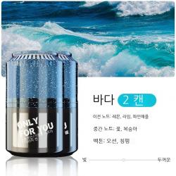 Linzheng지난달 초 자동차 디퓨저 고체 향고 냄새 제거 보충액 차량 적재 내부 장식 창의 장식품 지속 연한 향기 맑은 공기 남자 여성 전용 탱크 [고체 향고] 레몬 냄새, 캔[고체향 캔고] 바다맛 2개