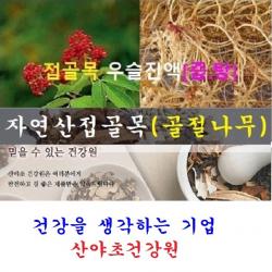 산야초건강원 접골목우슬진액(60일분)140팩 박용복 천기누설 자연산 접골목 말오줌 딱충 골절 나무 뼈 녹각 우슬 닭발 다리 쇠 무릎 진액 즙 탕 복용법 먹는법 부러진데 에 좋은 약초 효능 음식 식품, 140팩, 110ml