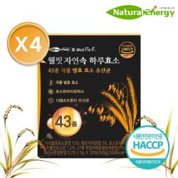 웰핏 자연속 하루효소 43종 곡물 발효 효소 유산균 3g, 2) 4개월분 18%추가할인