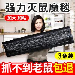 초강력 힘 찍찍이 붙잡다 묻히다 쥐트랩 신기 쥐를 박멸함 가정용 실내안 고효율 극성 한통속, 강력함 마법의 융단. 쥐를 박멸하다.