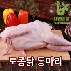 자연의닭 토종닭 18호 1마리 1.8kg