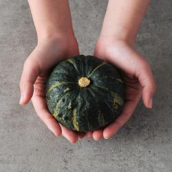 자연진리 국내산 미니밤호박 보우짱 1kg~5kg 1박스 1kg 2 4과