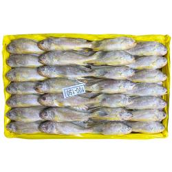 부산이오 조기 참조기 61-63미 3.6kg (제수용 업소용 도매)