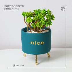 북유럽 ins 다육 시뮬레이션 식물인 분재 선인장 녹식 장식 조화 실내 거실 테이블 소품Z, 그린 + 34 트 렌 디 아 그린