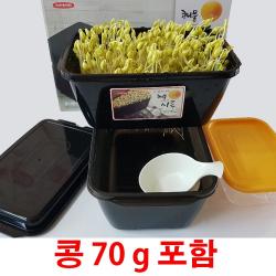 오스린 숙주나물 시루 콩나물 재배기 숙주 기르기 키트 세트