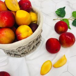 새벽시장 새콤달콤 고당도 자두 여름철 과일 3kg 5kg, 1박스, 3kg(중~특 랜덤발송)