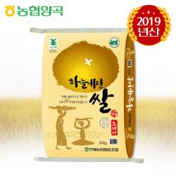 [농협양곡] [인제농협] 하늘내린 오대쌀 20kg, 상세 설명 참조, 상세 설명 참조