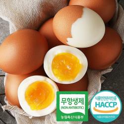  행복란 촉촉하고 부드러운 반숙 계란 반숙란 삶은계란 30구 친환경 무항생제 인증