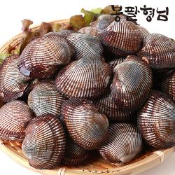산지직송 피꼬막 (상품) 2kg 제철 별미 피조개, 단품