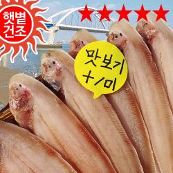 장스토어 반건조 박대 24 32cm 5 10마리 군산항 직송 1세트 02_박대 중 8미 약 700g/ 26cm내외 