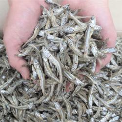  삼대원 남해안 특 상급고바멸치1.5kg 고추조림용멸치 안주멸치 중멸치 고추장멸치 구매시 사은품 증정