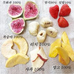 동결건조 야채칩 과일칩 건과일 딸기칩 사과칩 망고칩 무화과칩 리치칩 13종, 종합과일칩60g