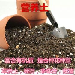 즐거움을 찾다 채소밭 전원 그릇 연밥의 진흙 야채 기르기 토원토 땅영양토 화토 심다 빅, 닭똥 유기비 5근