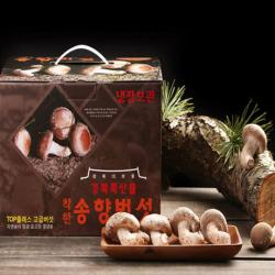 송이송향버섯 (산지직송 선물용) 오전11시전주문시 내일도착(주말 및 공휴일 제외), 1박스, 중품(실속)1kg