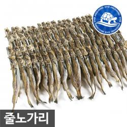 장수왕 줄노가리 대자 30급(30cm내외) 20마리 중부시장도매, 1봉