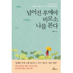 넘어진 후에야 비로소 나를 본다:명강사 김세미의 인생을 성공으로 이끄는 자기경영 특강! 행복에너지
