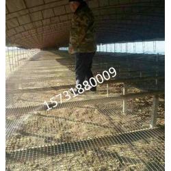 격리망 닭을기르다 닭오리 양식 울타리 방호 오리를 키우다 포위망 육초망 플라스틱 거품망 똥그물 1852681332, 1. 2메터 -50메터 3센치 공 일