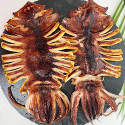 동해 국산 반건조오징어 영덕 피데기 10마리 건오징어 국산 중자 10마리 950g 내외 