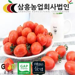 농가정보서비스 [해맑은들녘] 대추 방울토마토, 1박스, 대추방울토마토 소 2kg