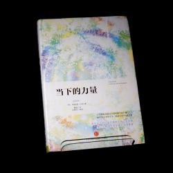 국내배송 중국어 원서 지금 이 순간을 살아라