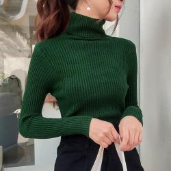 픽디스 [당일발송] 도톰한 목티 목폴라티 긴목티 목폴라 폴라티 목티 쫀쫀한 골지니트