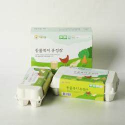 난각번호1번 동물복지 방목 유정란 계란 달걀 무항생제인증 농장직영 60구 2판 (100%파손보상)