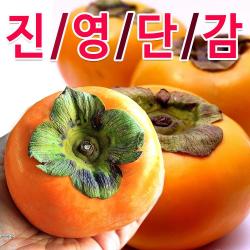  청년농부 진영 단감 산지직송 5kg 10kg 달콤 아삭한 햇단감 Gap 부유종 선물용 효도 가정용 5kg 소과 27~30과 