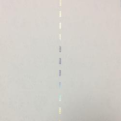 기타용지 위조방지 보고 전용 워터마크, T02-위조방지 온라인 중간