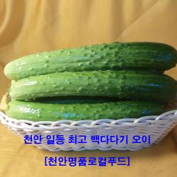  천안 명품 로컬푸드 별이 다섯개 농민직거래 경매가 대폭인하 최상품 백다다기 천안오이 거품 쫙 뺀 당일 가성비100%만족 100개 구입시부추나로컬푸드대형바구니증정 오이지용50개