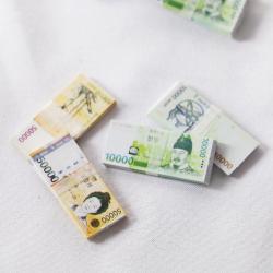 더홀릭 미니어처 돈다발 납골당꾸미기 DIY 오만원권