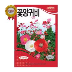 경신종묘 꽃씨앗 꽃양비귀(혼합종) 2000립
