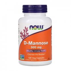 Now Foods D-Mannose 나우푸드 디만노스 500mg 120캡X2개