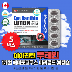 캐나다 루테인 희미한 침침한 눈 건강 에좋은 영양제 침침한 흐릿한 영양제 중년 장년 갱년기 여성 남성 30대 40대 50대 60대 청소년 부모님 할아버지 할머니 대용량 고함량 먹기 쉬운 눈 영양제 보충제 보조제 선물 추천 마리골드 꽃 추출물 루테인 5박스 묶음할인
