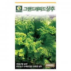 청로메인 상추 씨앗 2000립 - 상추씨앗 상추씨 청치마 쌈채소 야채씨앗 채소씨앗 채소재배 종묘 종자 베란다 텃밭 씨 씨앗, 05_다농_그랜드래피드 상추 (2000립)