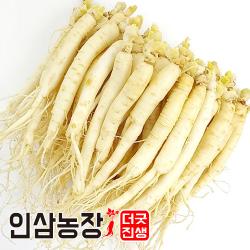 더굿진생 금산 인삼 햇 원수삼 세척 수삼 삼계탕인삼 실속형 오쿠용, 1개, 원수삼450g(18~24뿌리)