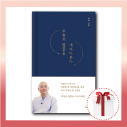오늘의 발끝을 내려다본다 [사은품증정] 주석스님 에세이