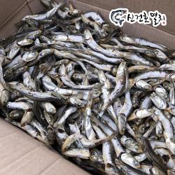신건호멸치 국물용 햇 다시멸치 업소 / 대멸치 육수용멸치 1box 1.5kg