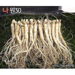 삼키우는마을 고려수삼 세척 무세척 수삼 가정용 나.원30 750g 세척안함