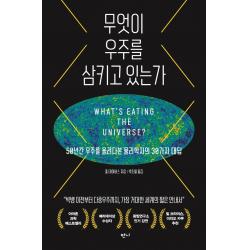 무엇이 우주를 삼키고 있는가:50년간 우주를 올려다본 물리학자의 30가지 대답 폴 데이비스 반니