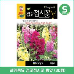 솔림텃밭몰 겹꽃접시꽃씨앗 30립 접시꽃 꽃씨앗 혼합종