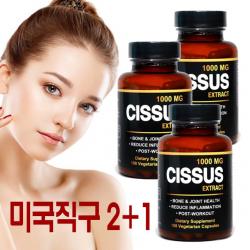 다이어터스 시서스 가루 미국 직구 100 캡슐 알약 씨서스 분말 효능 추천 2+1병 100g