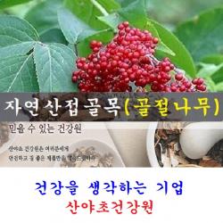 산야초건강원 접골목진액(60일분)140팩 박용복 천기누설 자연산 접골목 말오줌 딱충 골절 나무 뼈 녹각 우슬 닭발 다리 쇠 무릎 진액 즙 탕 복용법 먹는법 부러진데 에 좋은 약초 효능 음식 식품, 140팩, 110ml