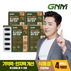 Gnm자연의품격 기억력 인지력 포스파티딜세린 징코 Ps / 비타민e 은행잎추출물 4박스 60캡슐