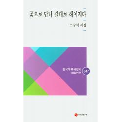 꽃으로 만나 갈대로 헤어지다:소강석 시집, 시선사